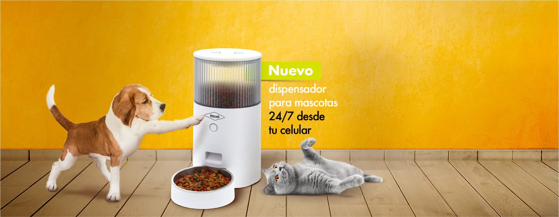 Perros tubos rua comederos bebederos animais mascotas cria comedouros comedouro camas funco muda recicladas casitas gatos cachorro cães escolher álbum Proyecto Dispensador De Comida Para Perros Callejeros